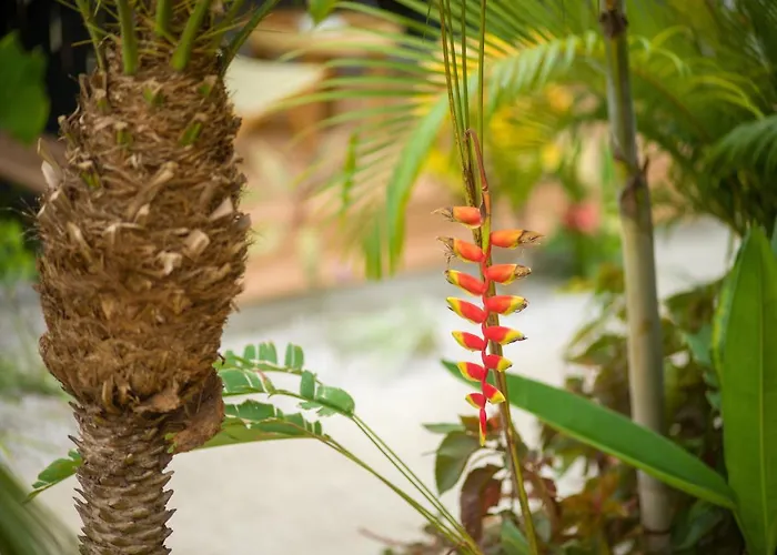 Favela Chic - Adults Only Villa Tamarindo